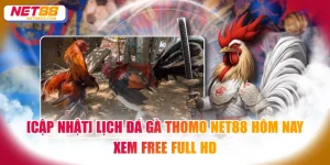 Đá gà Thomo NET88