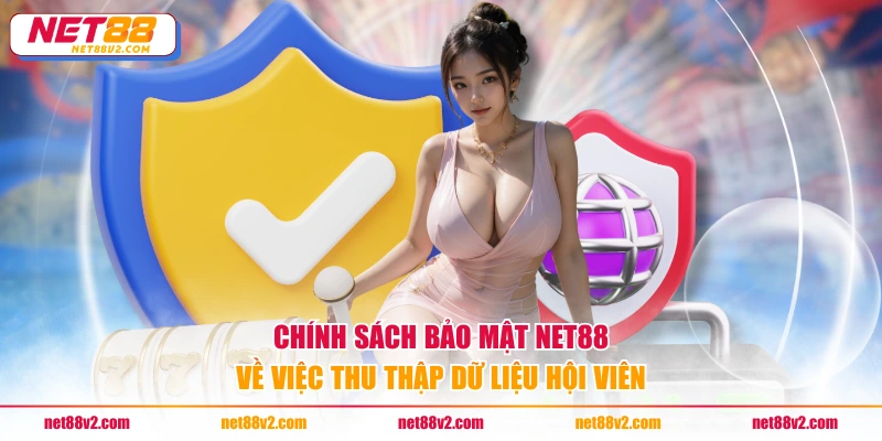 Chính sách bảo mật NET88 về việc thu thập dữ liệu hội viên