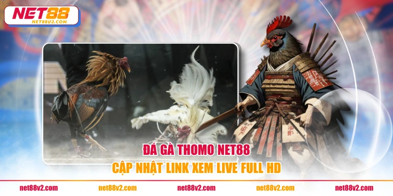 Đá gà Thomo NET88 cập nhật link xem live full HD