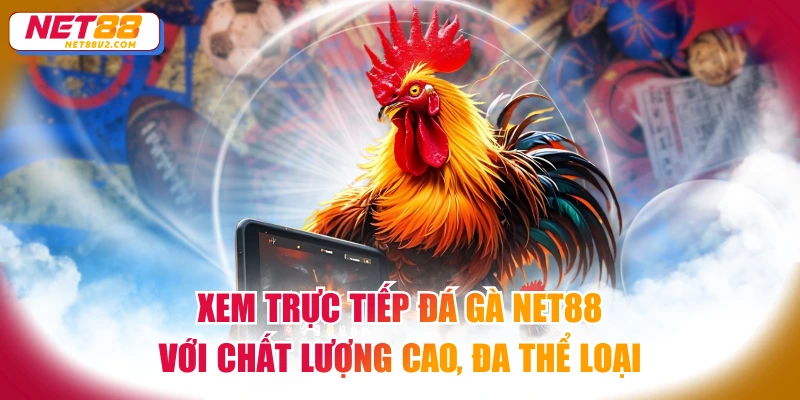 Trực tiếp đá gà NET88